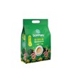 Instant Gold Coffee Brazil